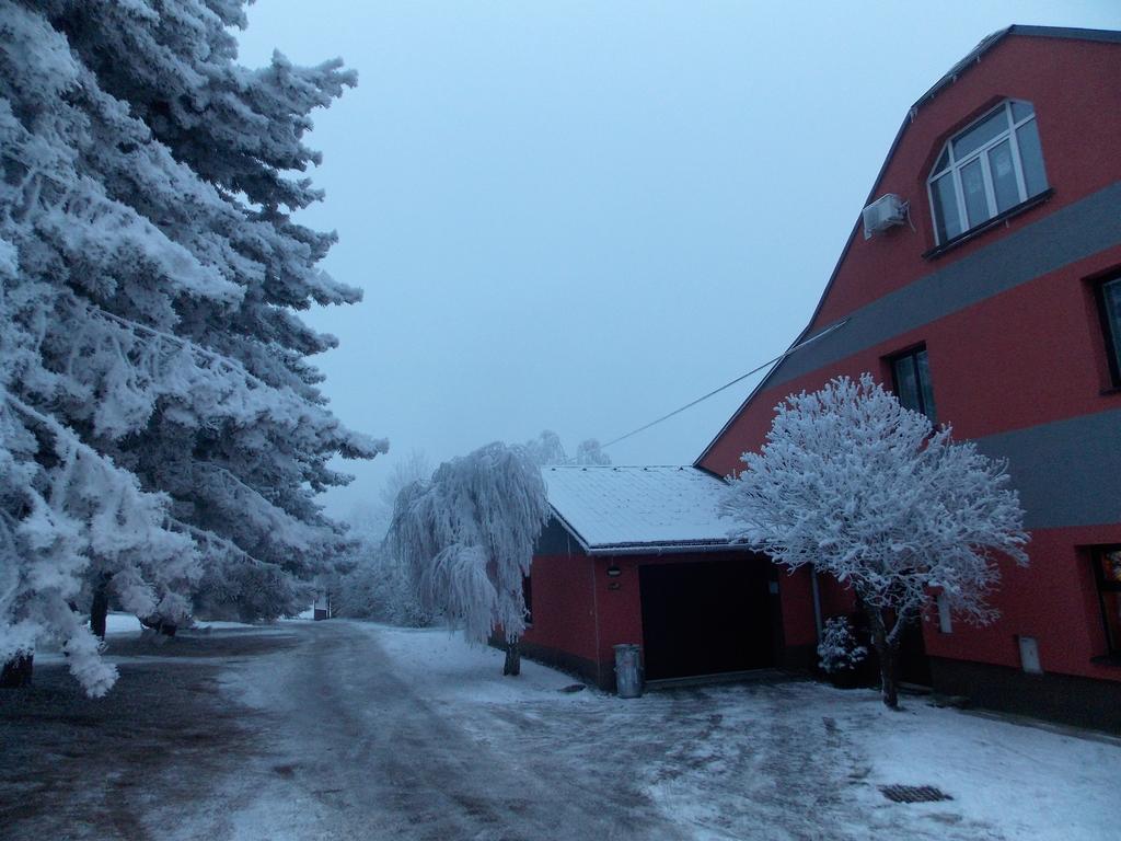 Apartamento Luxusní Apartmán NMNM Nove Mesto na Morave Exterior foto